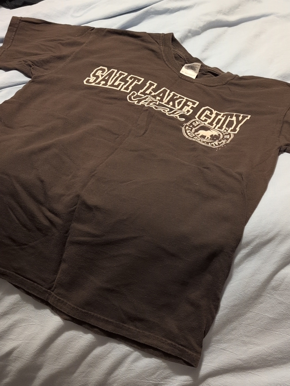 Brown 'Salt Lake City' Graphic Tee